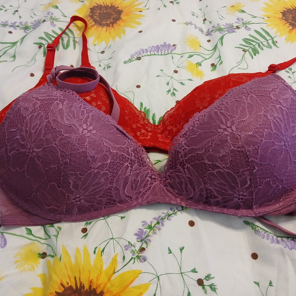Elegant Lace Bra Set in Purple and Red
